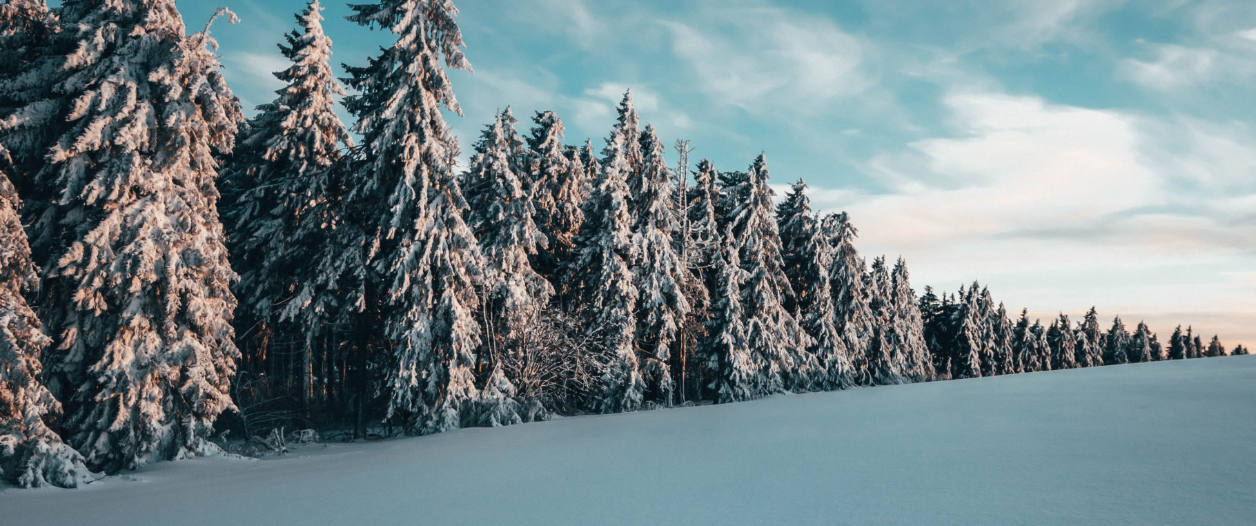 Snow Trees (3440×1440 Wallpaper